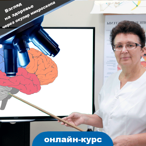 Курс 31. Здоровый головной мозг - основа здоровья всего организма